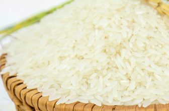 Gạo bông lúa vàng