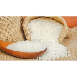 QUY TRÌNH TRỒNG VÀ THU HOẠCH GIỐNG LÚA 404