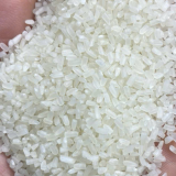 Quy trình trồng thu hoạch gạo tấm campuchia