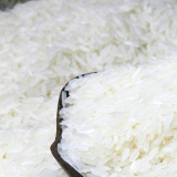 Quy trình trồng và thu hoạch giống lúa Nàng Hoa 9